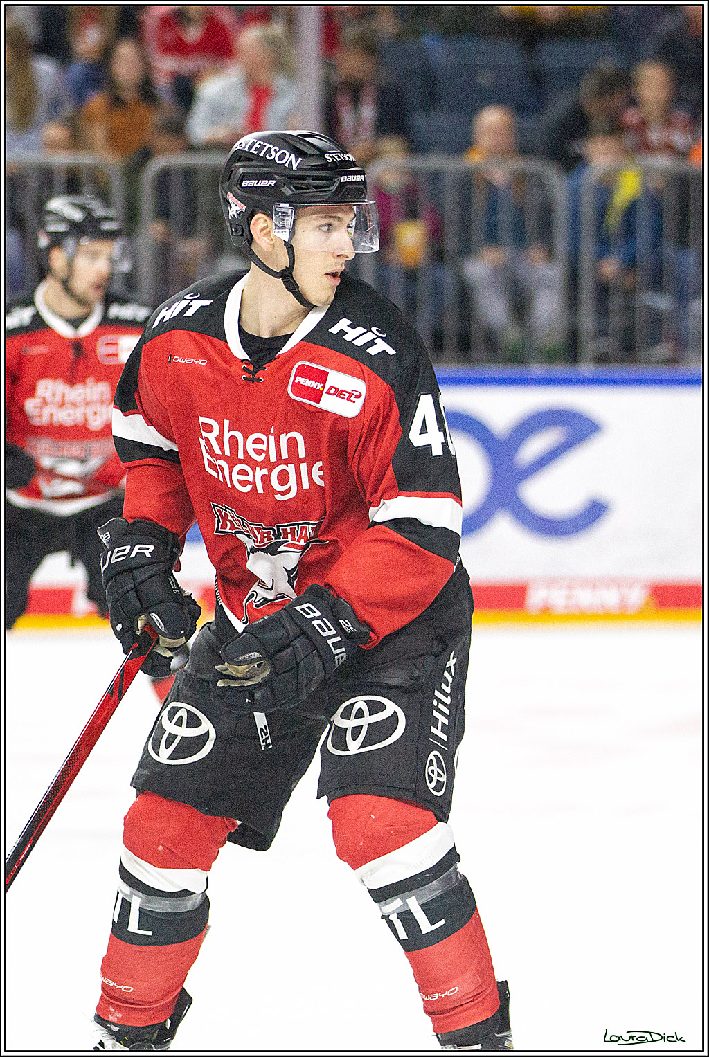 PENNY DEL;  Koelner Haie - Straubing Tigers; Koeln, 15.10.2021
